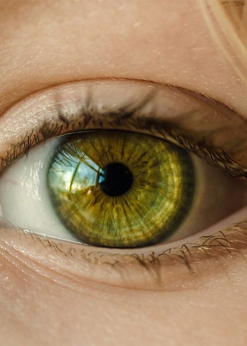 Image hover effect image