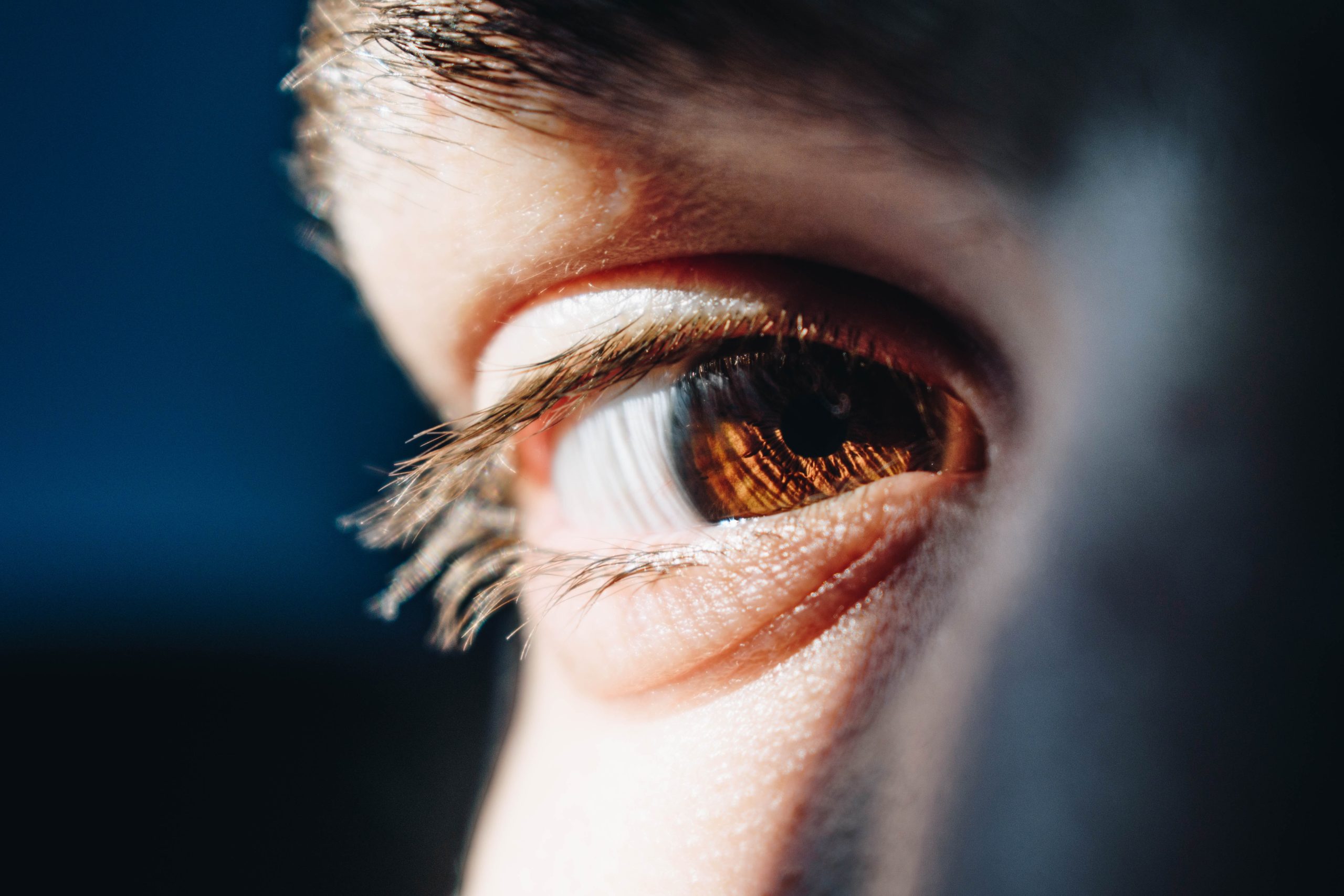 Image hover effect image