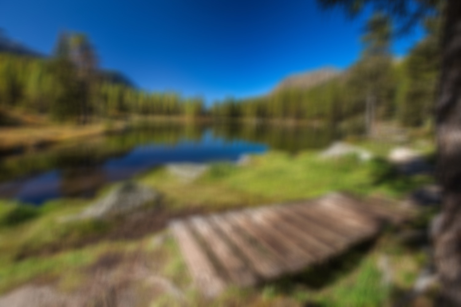 paysage avec montagne et lac flou